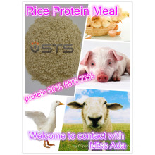 Rice Protein Powder with High Quality